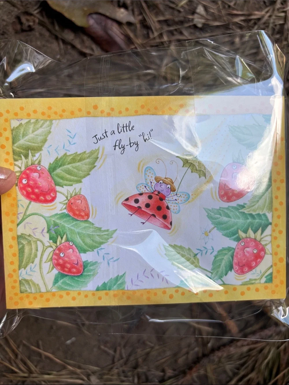 Vintage 70’s/80’s Hallmark Ladybug & Strawberry Notecards Set of 16 Like New